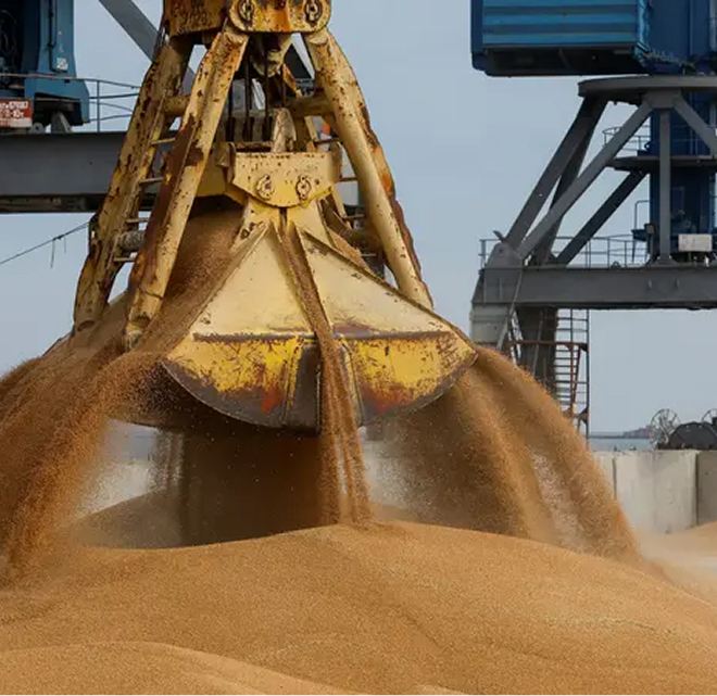 Agricultural commodities